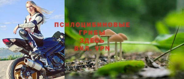 гашик Абдулино